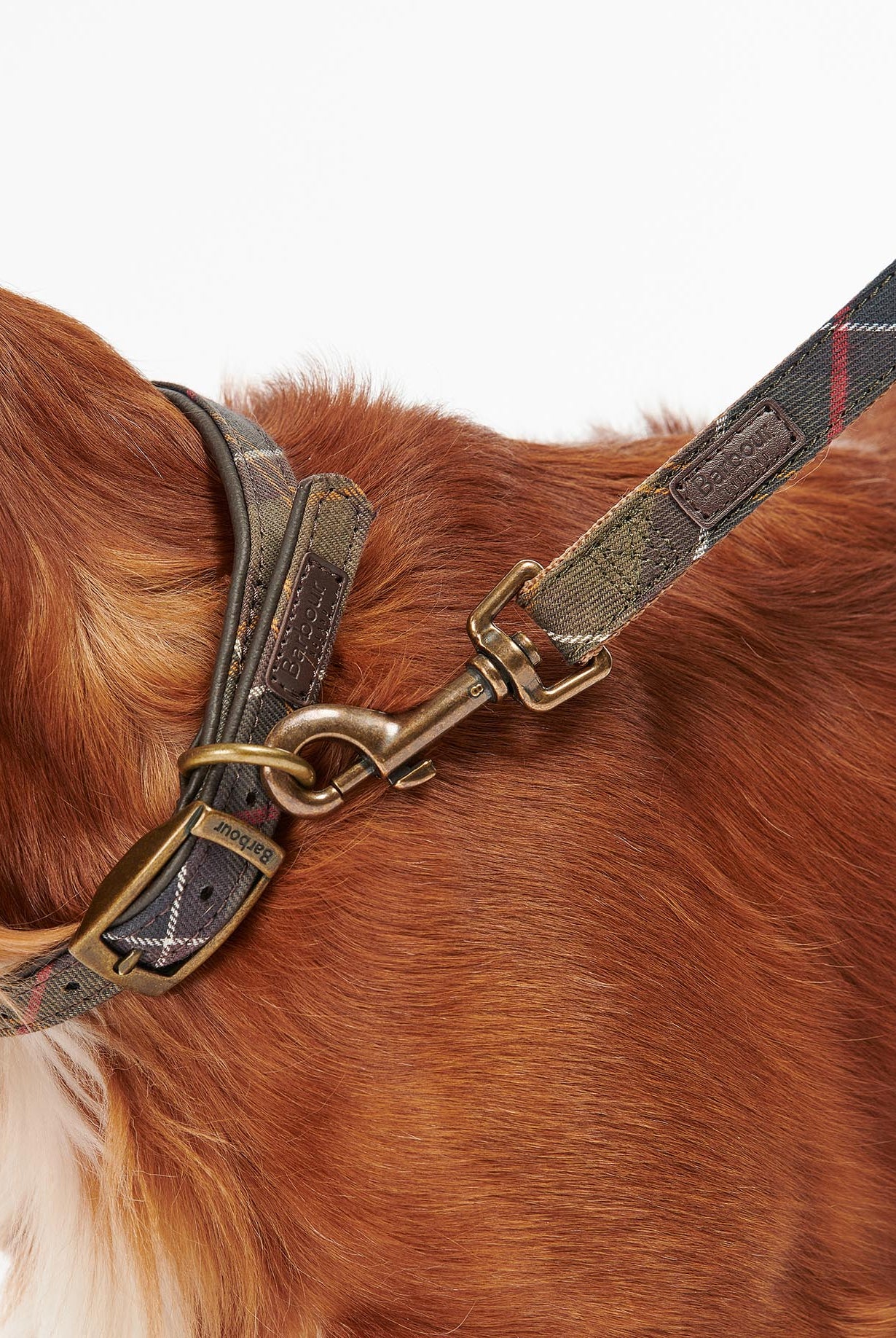 Barbour Classic Tartan Barbour Lead Classic #Colour_Classic Tartan