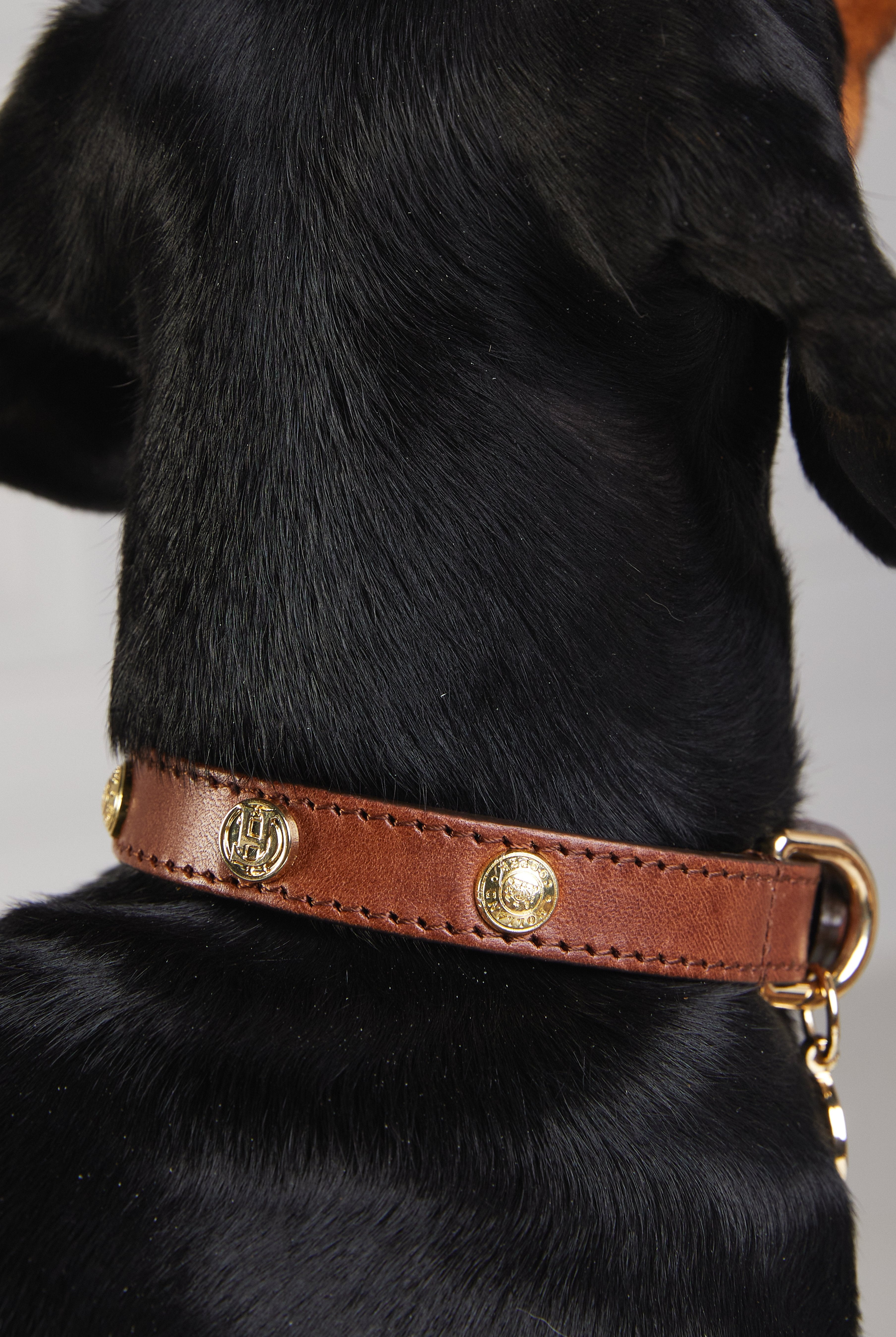 HC Studded Dog Collar - Gallery Image 38