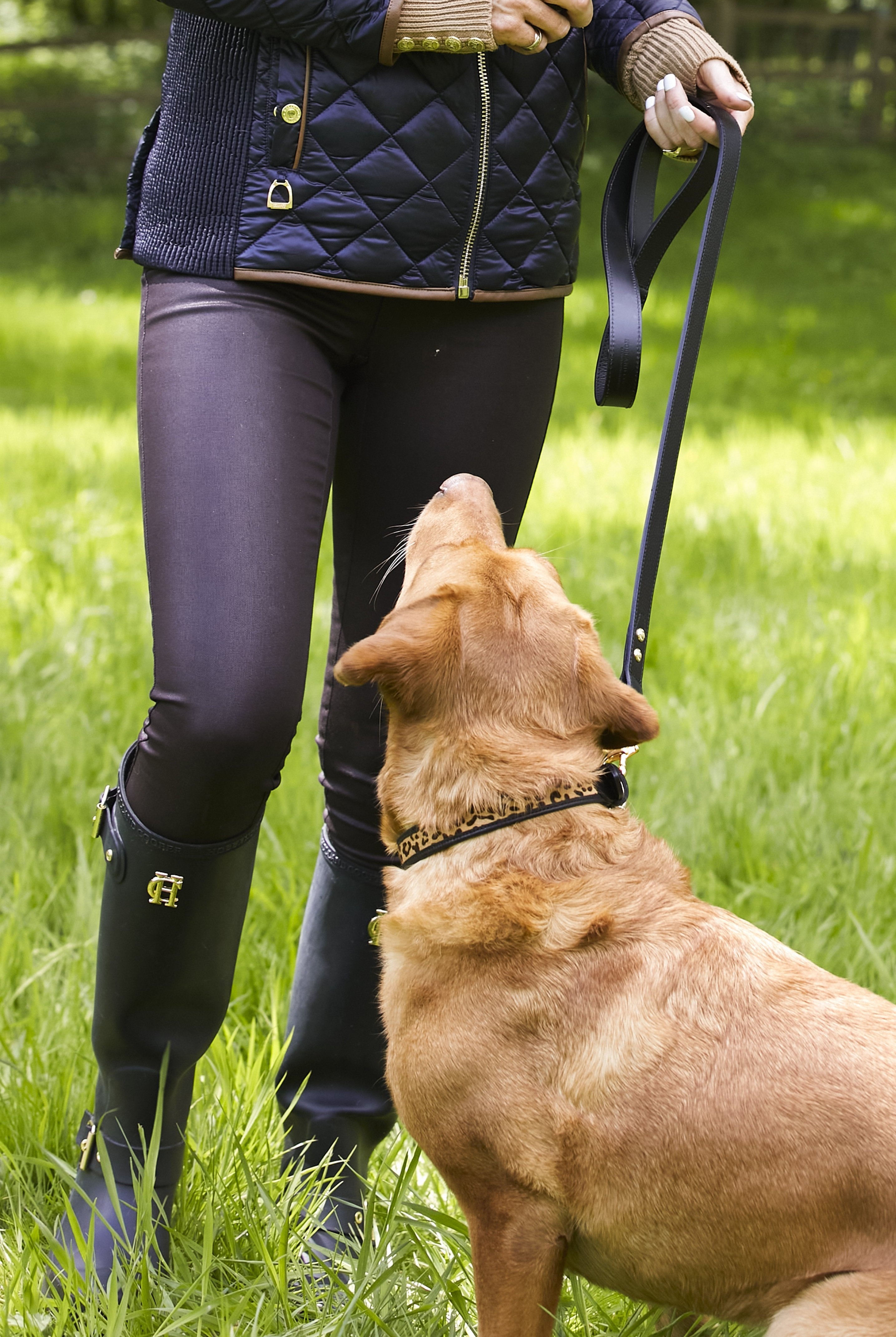 Classic Dog Lead - Gallery Image 19