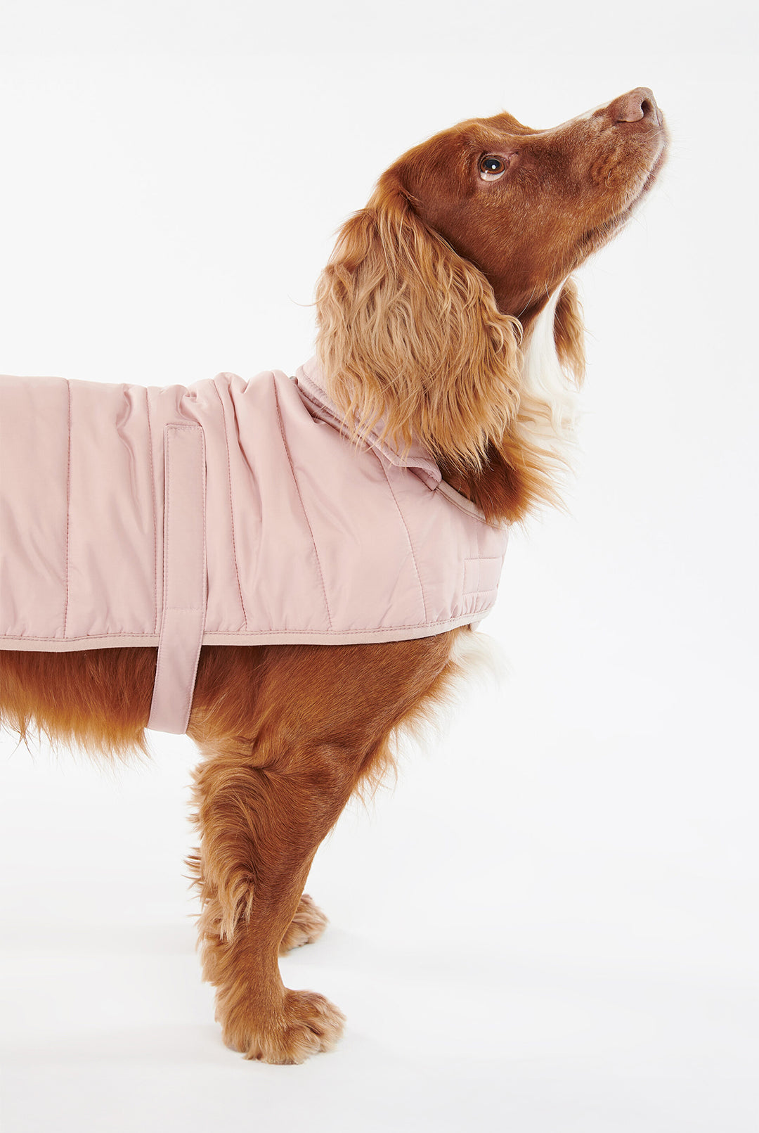 Barbour Blusher Baffle Quilt Dog Coat #Colour_Blusher