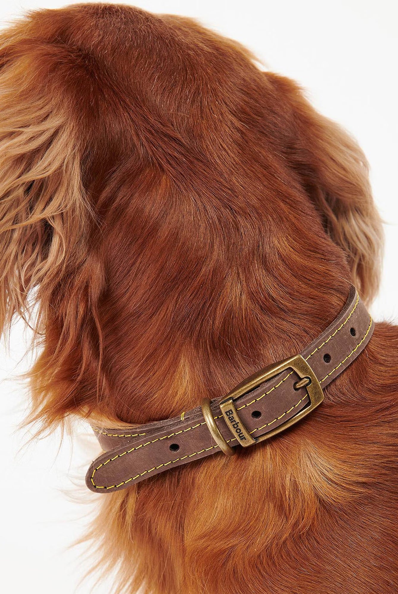 Barbour Leather Dog Collar #Colour_Brown