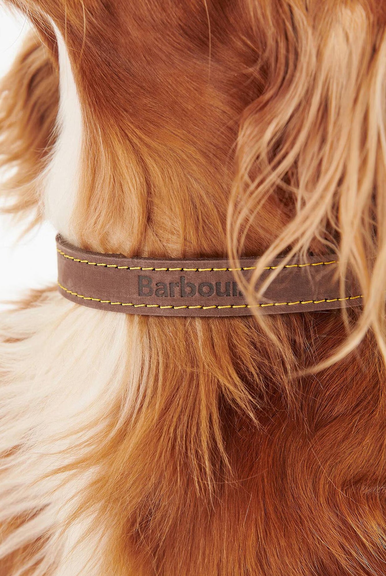 Barbour Leather Dog Collar #Colour_Brown
