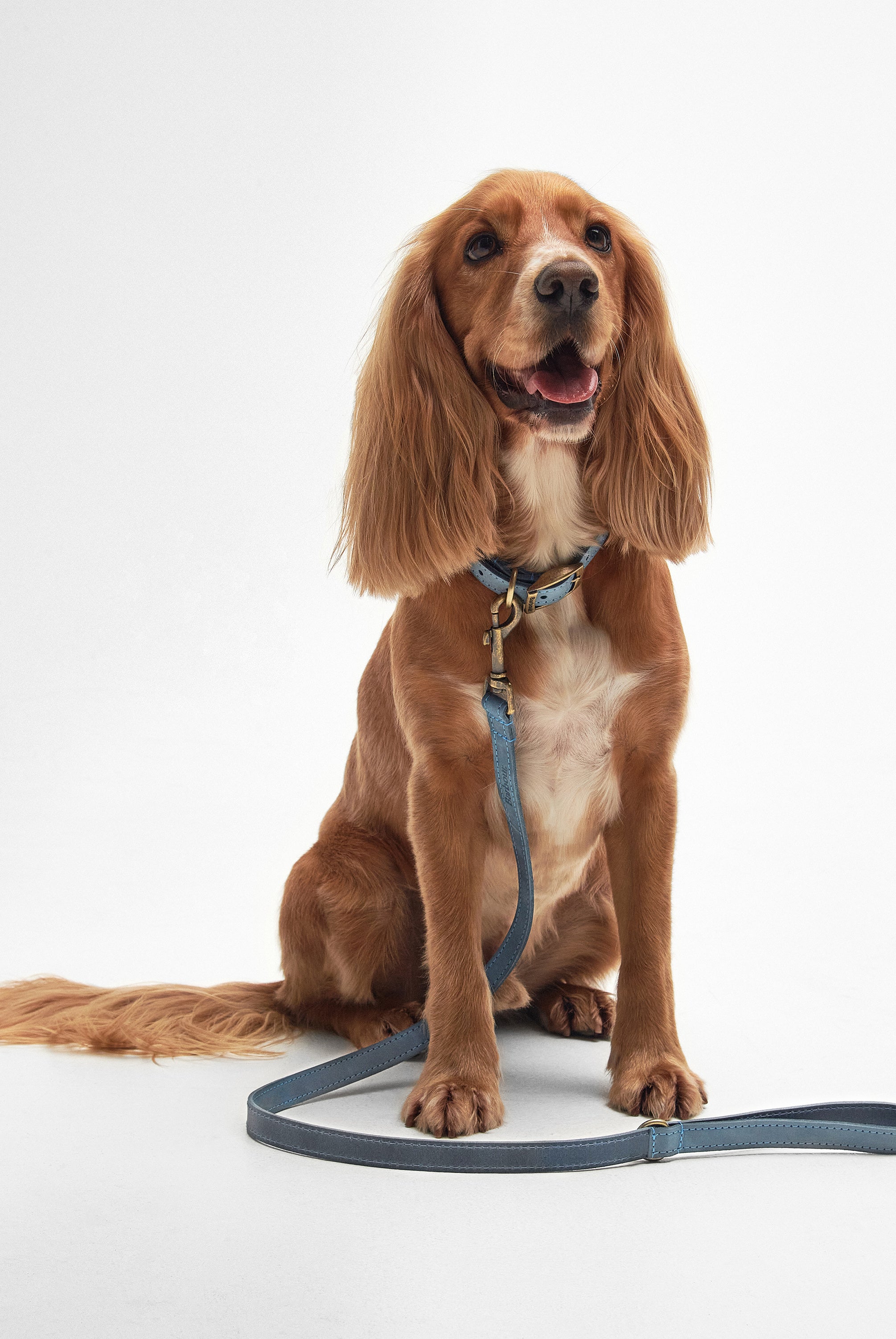 Barbour Blue Barbour Leather Dog Lead #Colour_Blue