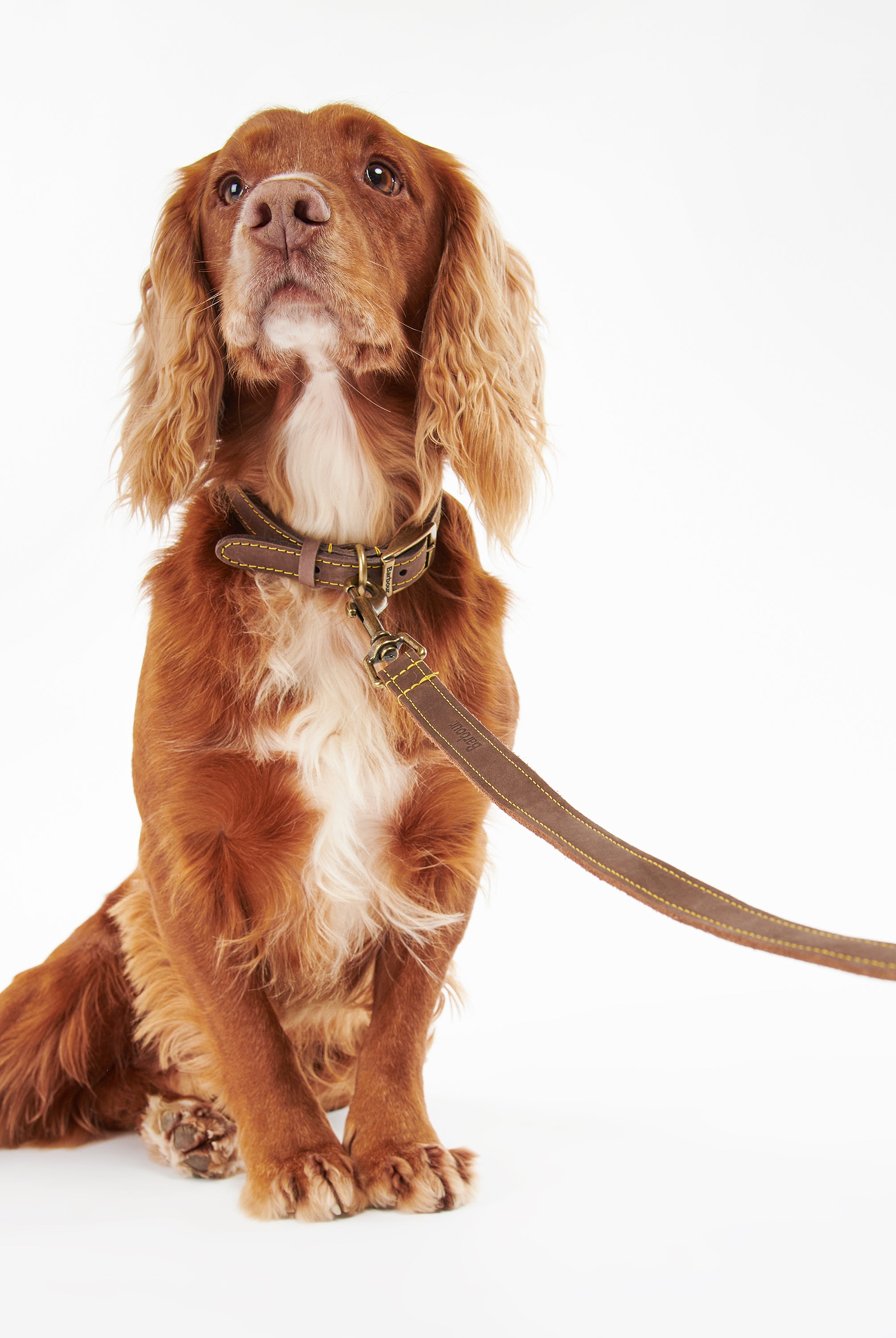 Barbour Brown Barbour Leather Dog Lead #Colour_Brown