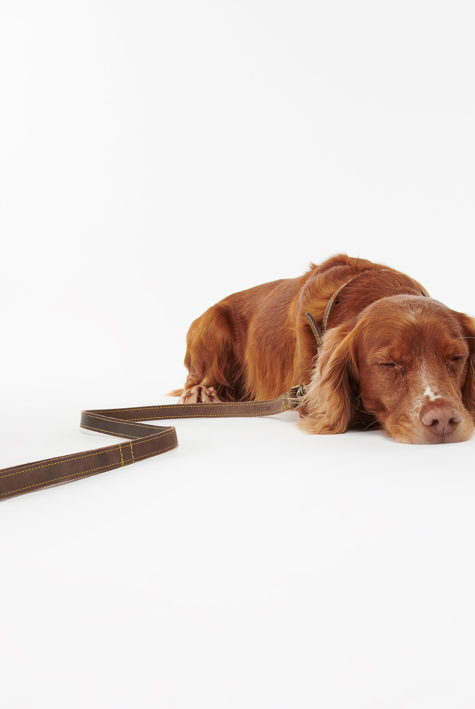 Barbour Brown Barbour Leather Dog Lead #Colour_Brown