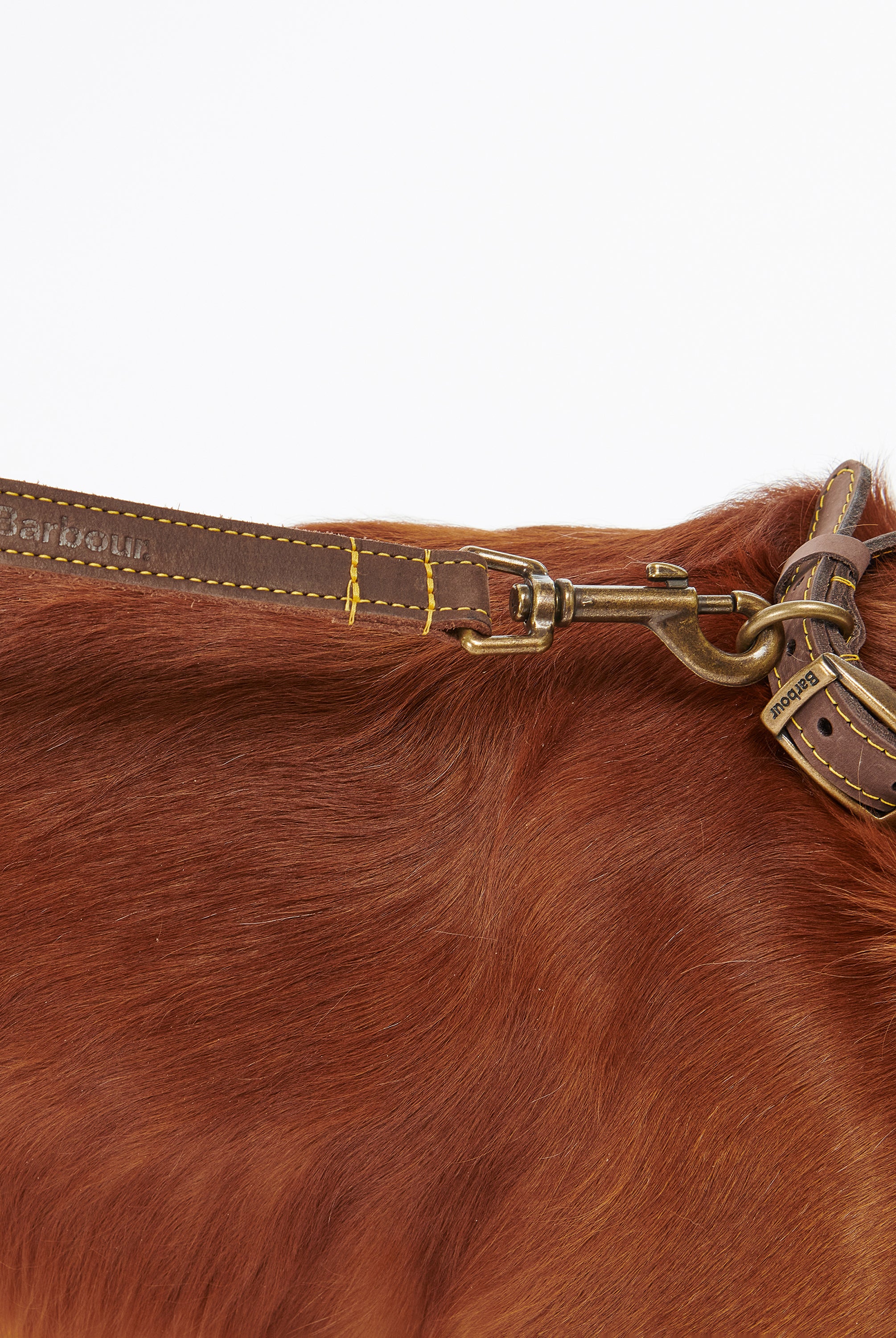 Barbour Brown Barbour Leather Dog Lead #Colour_Brown