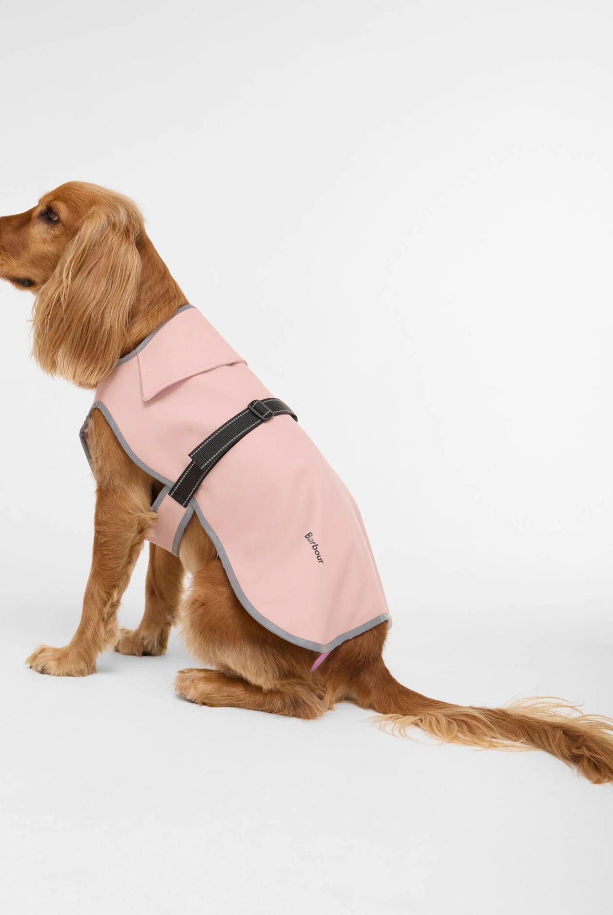 Barbour Evie Waterproof Dog Coat #Colour_Gardenia Pink