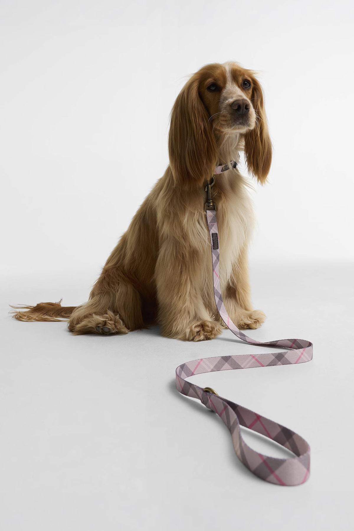 Tartan Printed Dog Lead