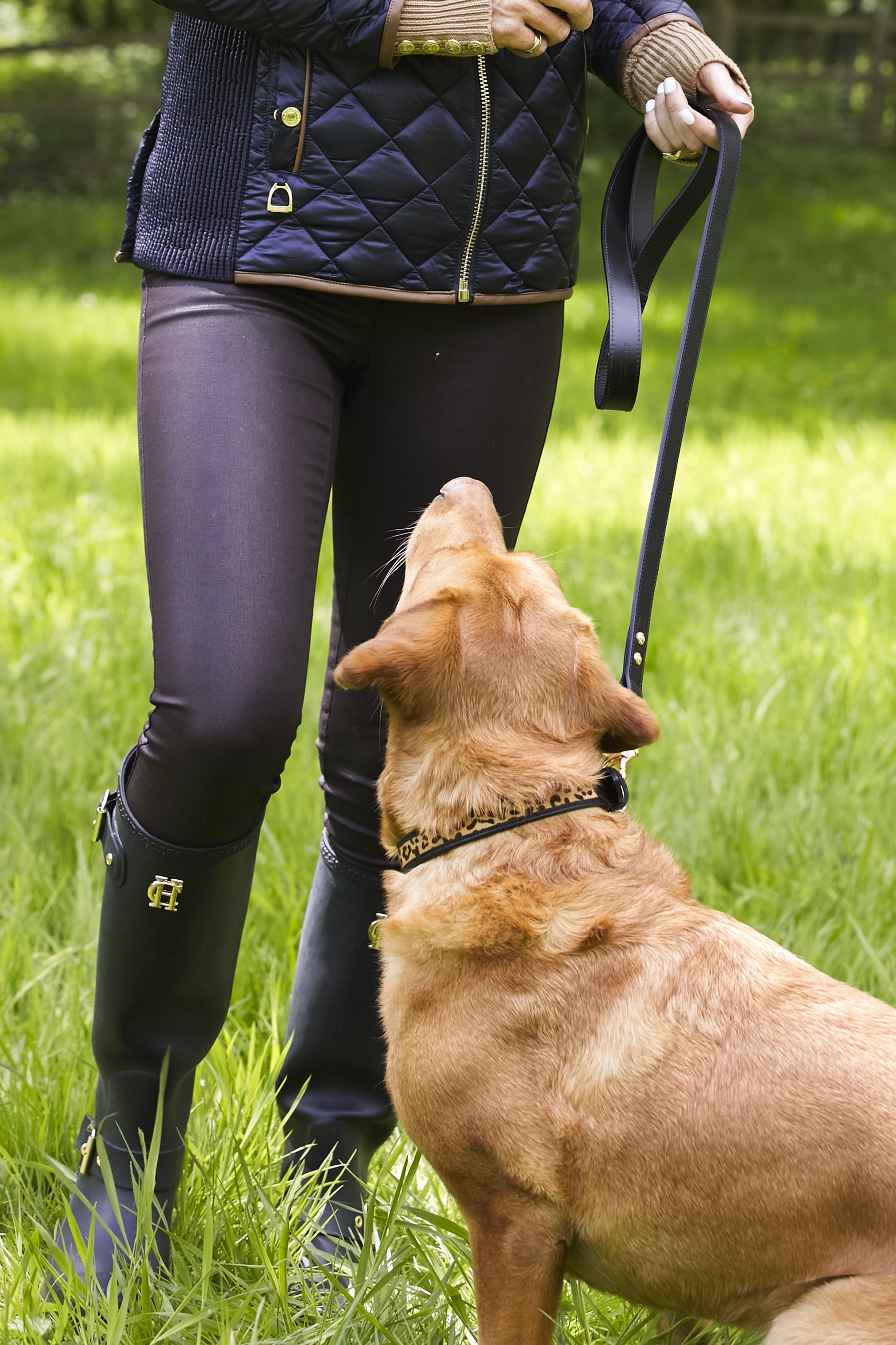 Classic Dog Lead - Gallery Image 19