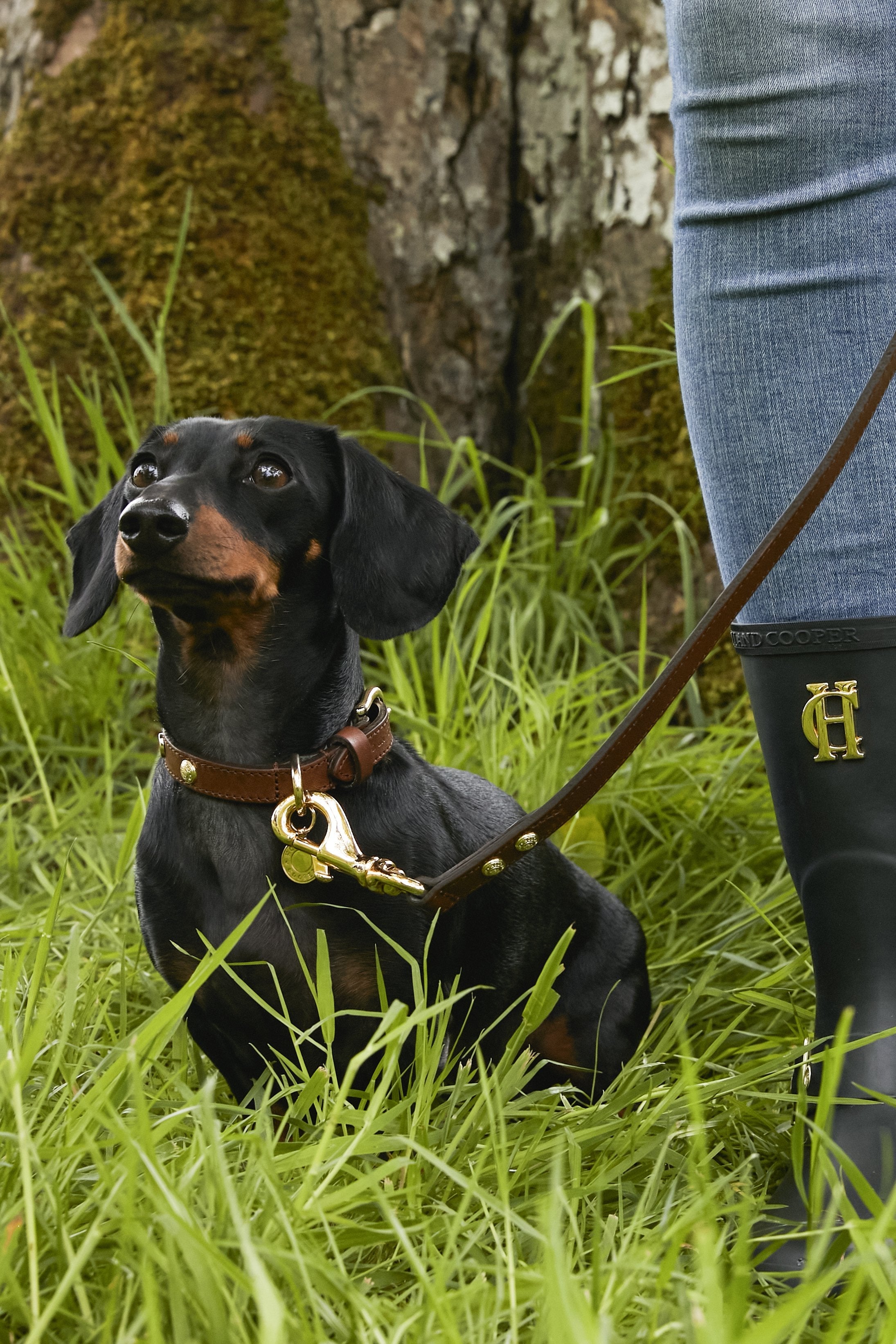 HC Studded Dog Collar - Gallery Image 46