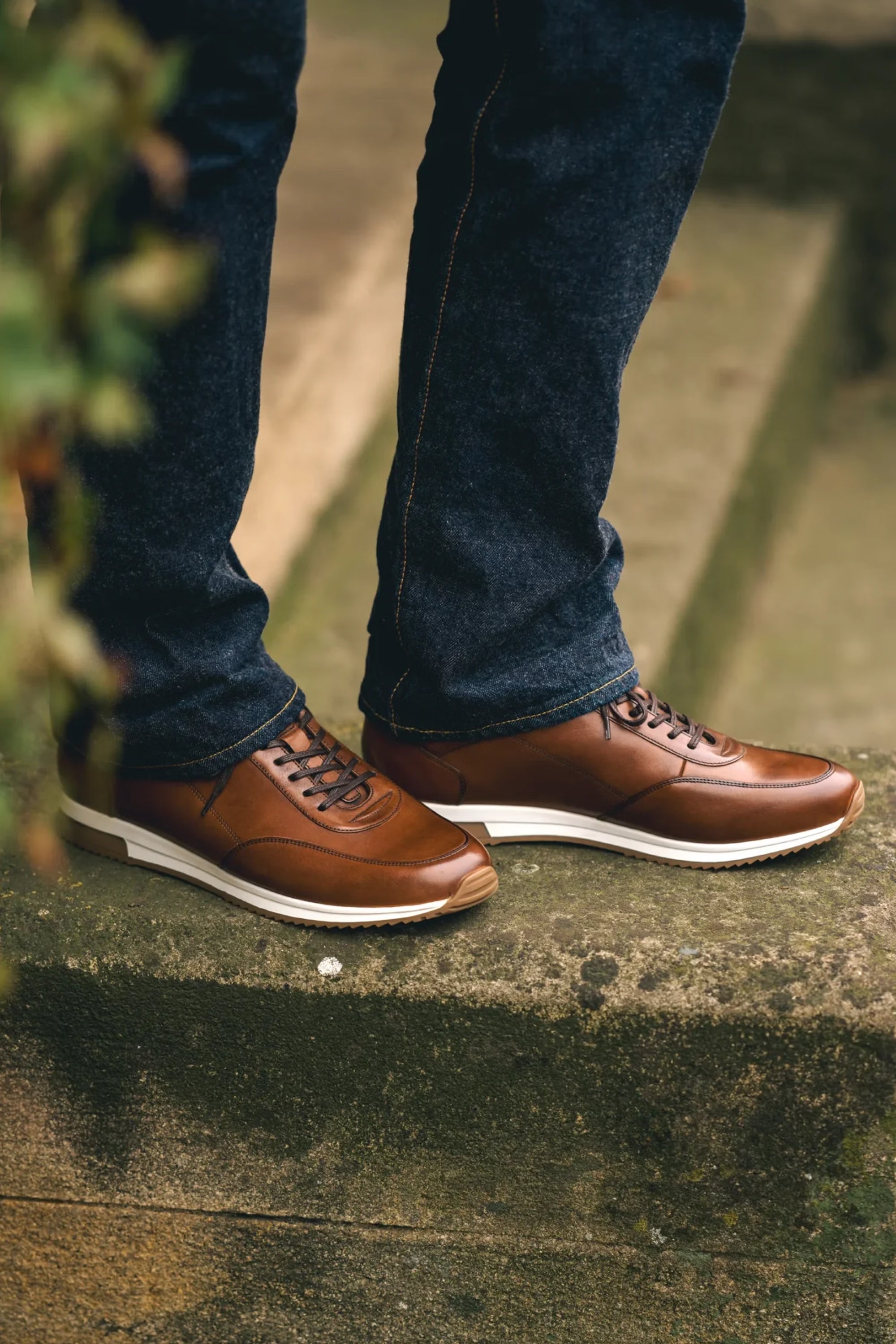Bannister Trainer