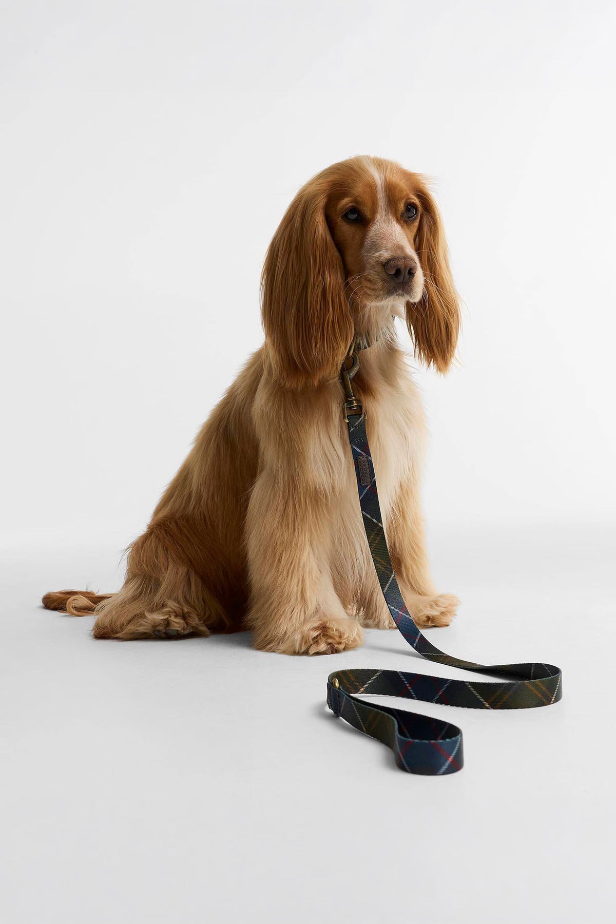 Tartan Printed Dog Lead