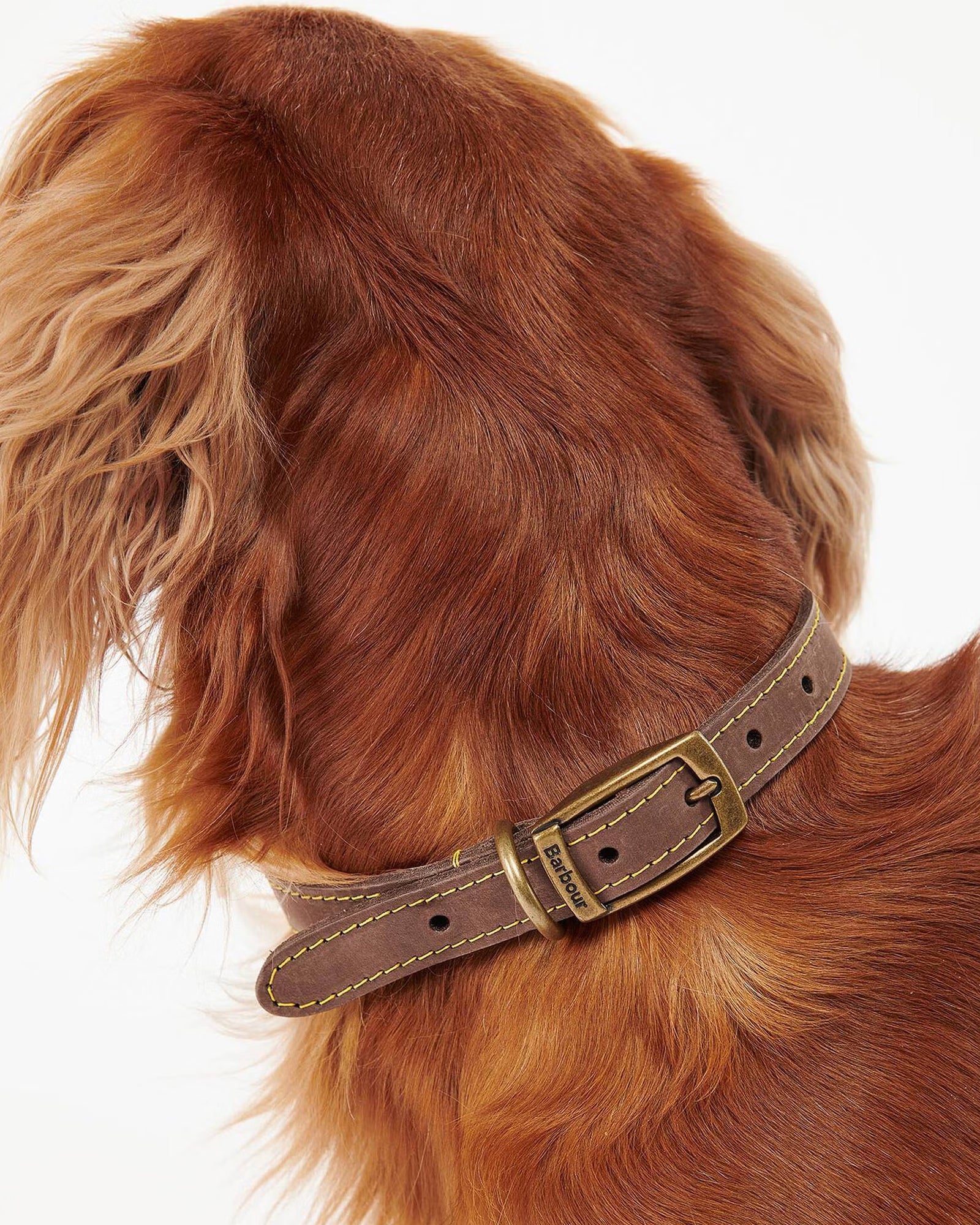 Barbour Leather Dog Collar #Colour_Brown