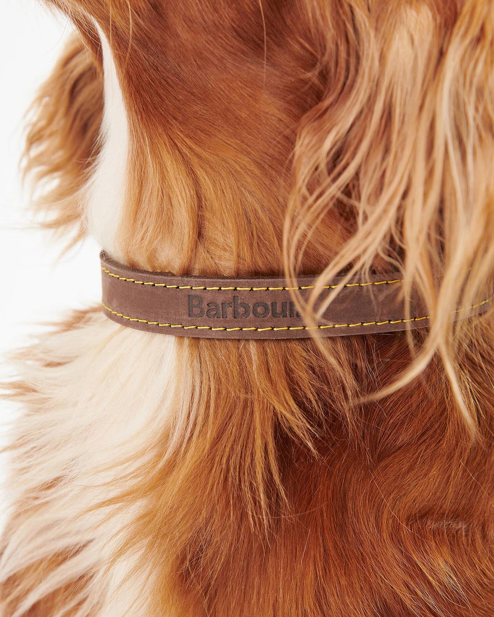 Barbour Leather Dog Collar #Colour_Brown