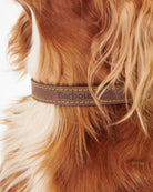 Barbour Leather Dog Collar #Colour_Brown