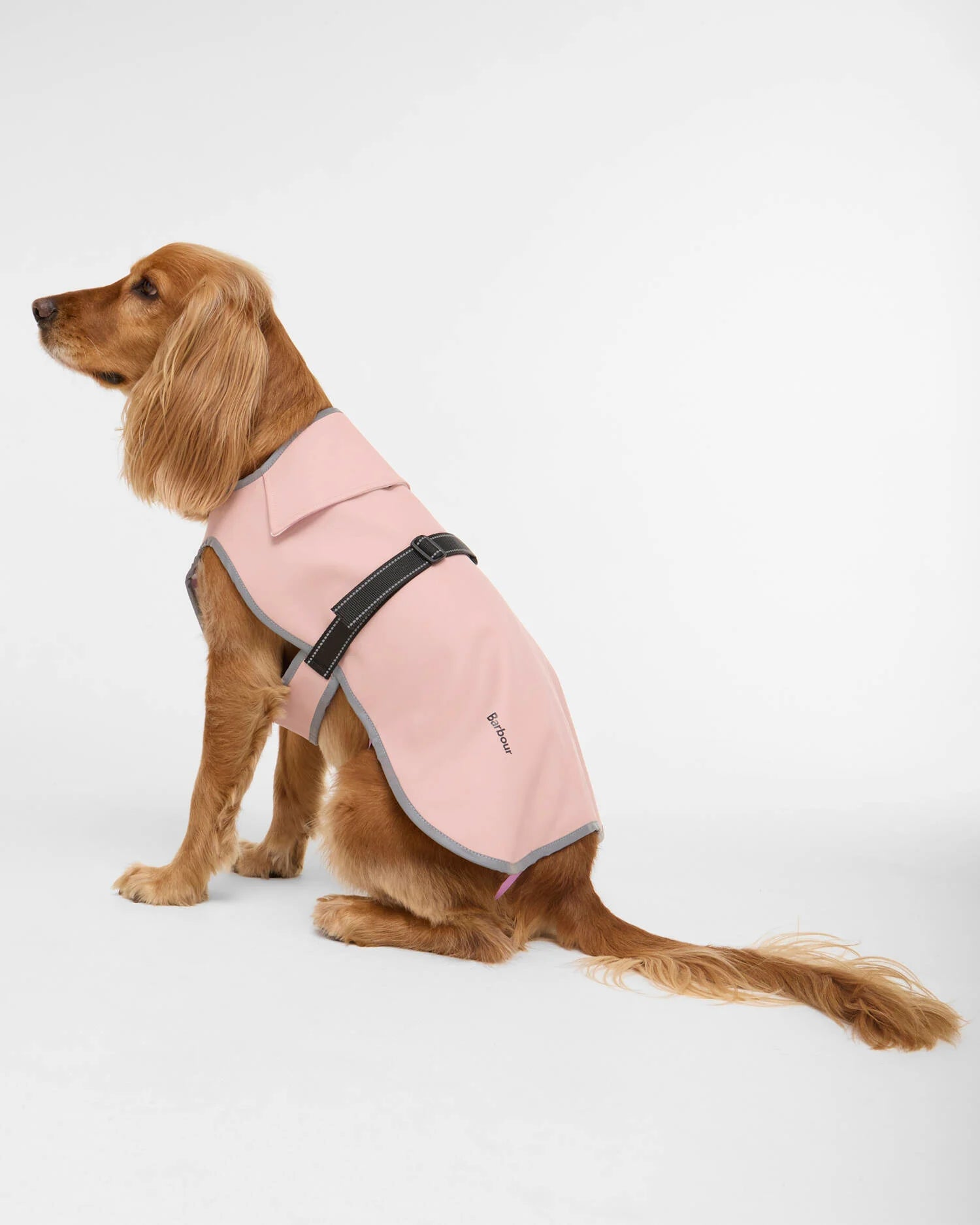 Barbour Evie Waterproof Dog Coat #Colour_Gardenia Pink