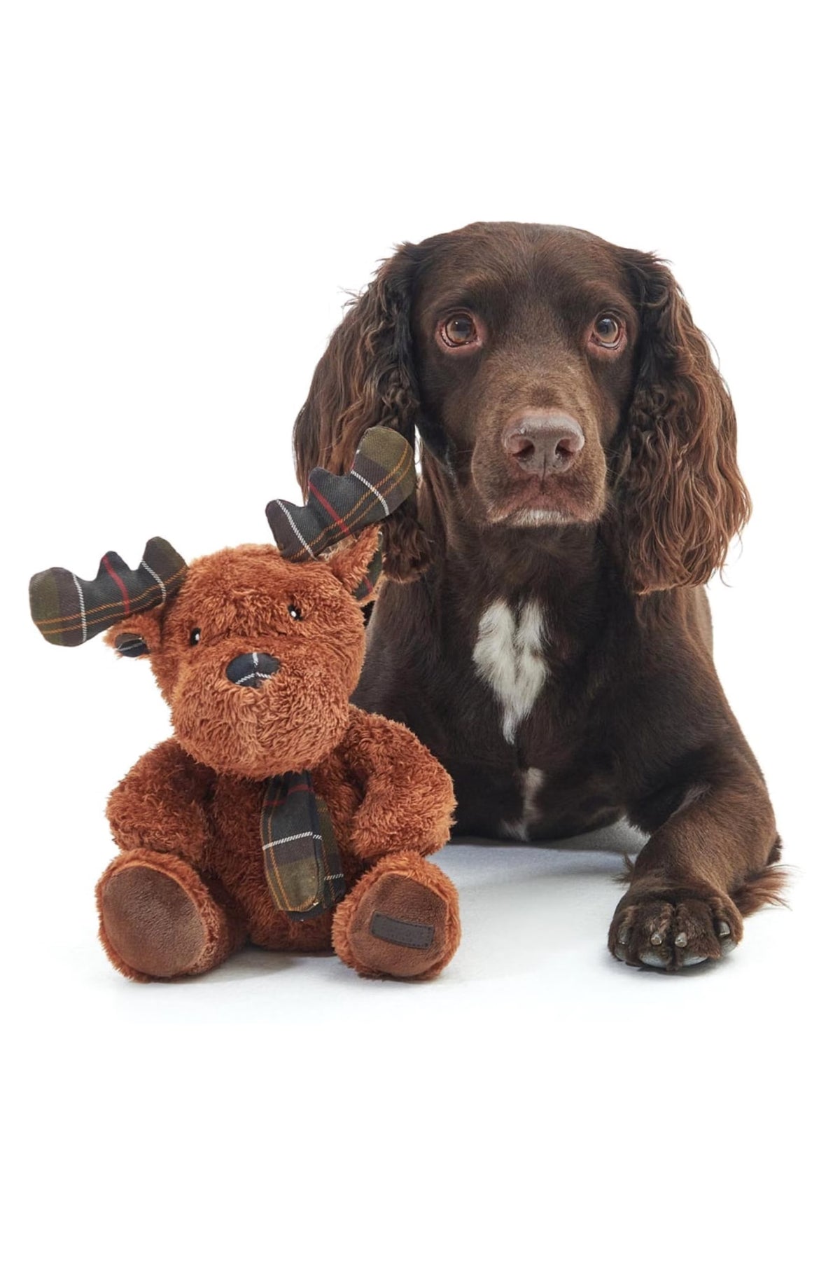 Reindeer Dog Toy
