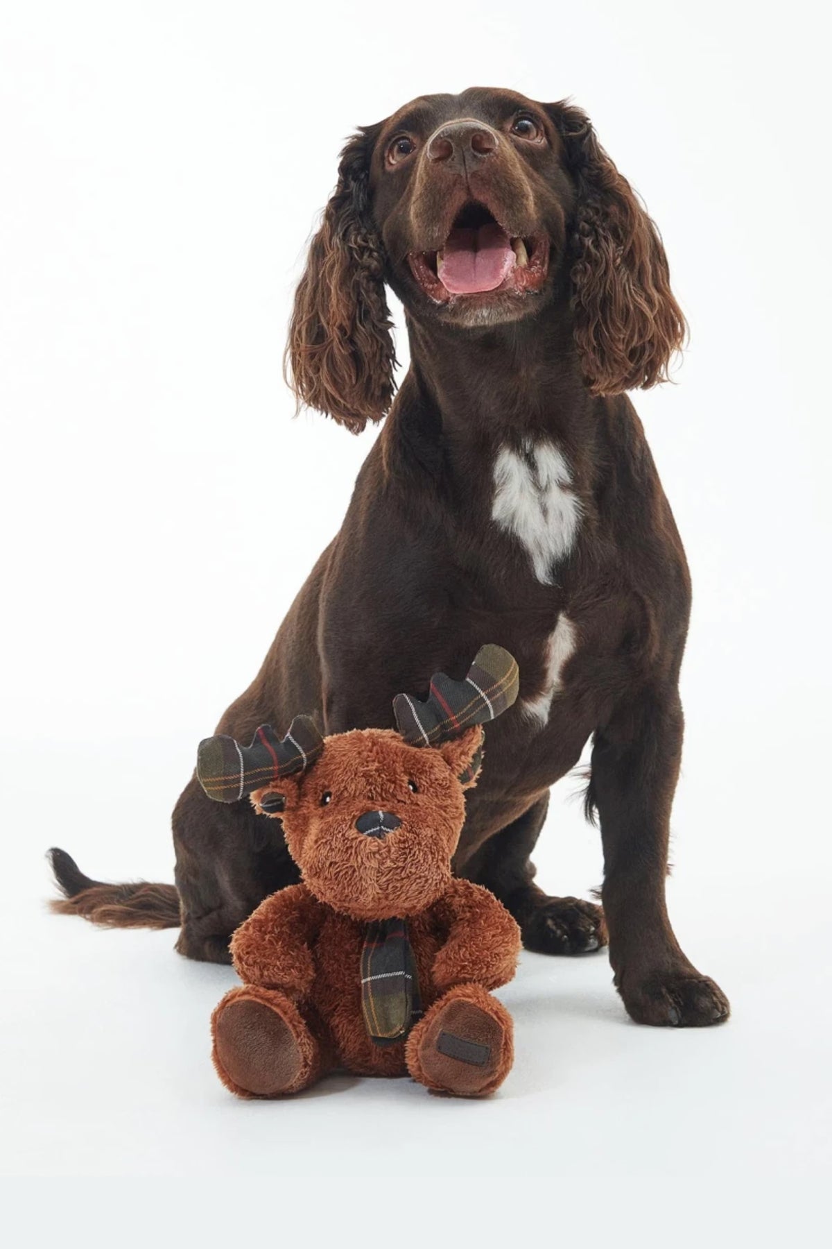 Reindeer Dog Toy