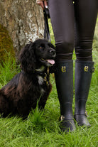HC Studded Dog Collar - Gallery Image 45
