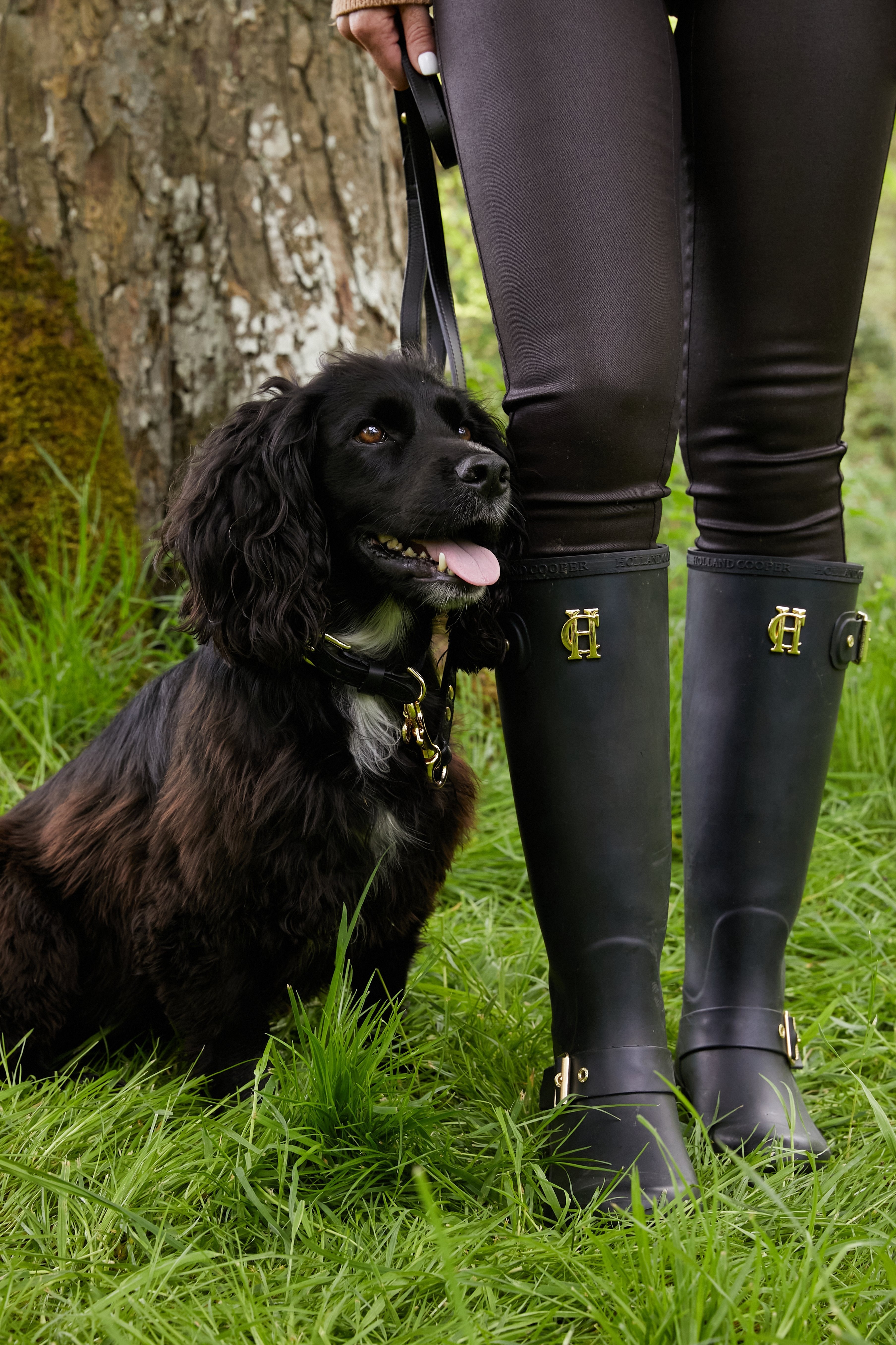 HC Studded Dog Collar - Gallery Image 45