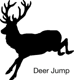 deer jump