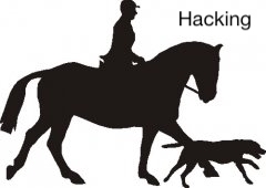 hacking doorstop