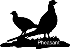 pheasant doorstop