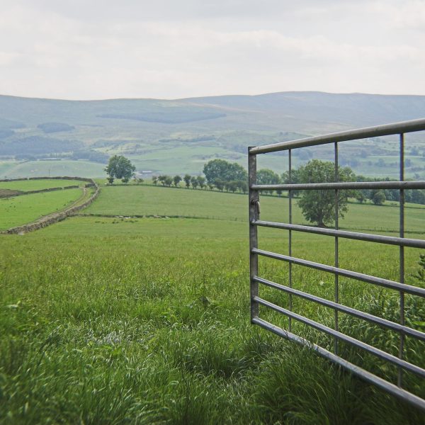 Rural crime on the rise