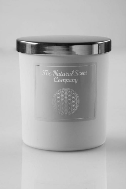 The Natural Scent Company Soy Wax Candle - Basil & Mint