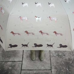 Sophie Allport Umbrella - Raining Cats and Dogs
