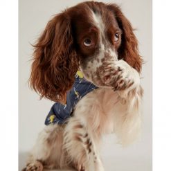 joules-water-resistant-printed-raincoat-for-dogs-p19069-155830_image