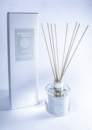 The Natural Scent Company Reed Diffuser - Basil & Mint