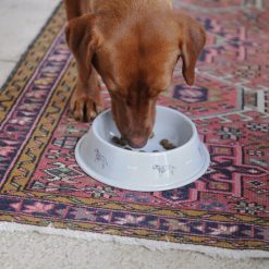 terrier-dog-bowl-lifestyle-high-res-2-web__image_a0956c0c-cc7b-4f72-a39c-62b1b67741c9_1296x