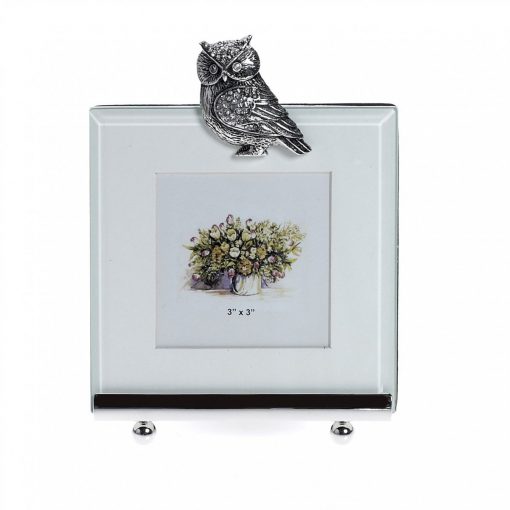 At Home In The Country Photo Frame - Owl