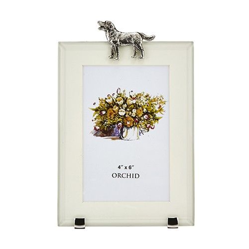 At Home In The Country Rectangle Photo Frame - Labrador