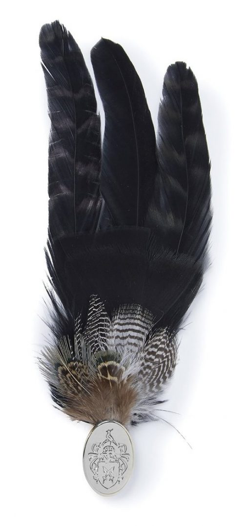 Feather Brooch -  Bronze Duck Feathers (Silver Pin)