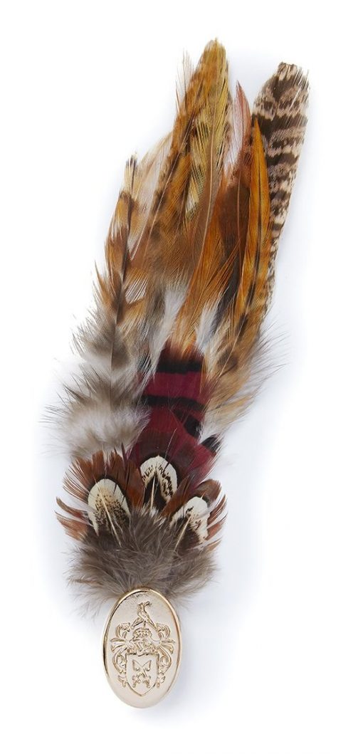 Feather Brooch -  Gamebird Feathers (Gold Pin)