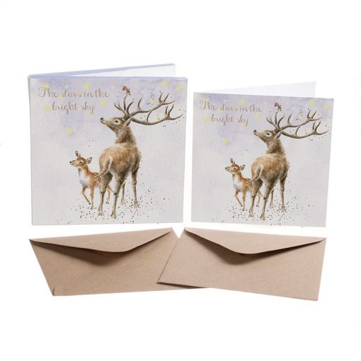 'The Stars In The Bright Sky' Christmas Card Box Set