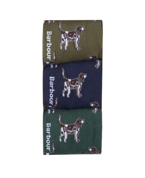 Pointer Dog Socks Gift Box