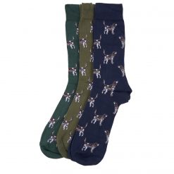 Pointer Dog Socks Gift Box