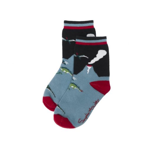 Kids Socks - Dinosaur
