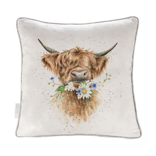 'Daisy Coo' Highland Cow Cushion