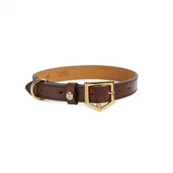 The Fitzroy Dog Collar - Mahogany Leather