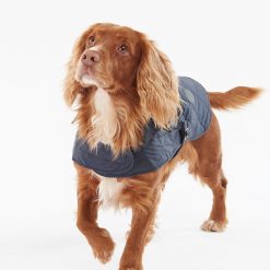 Quilted Dog - Navy 2
