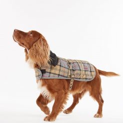 Wetherham Dog Coat2