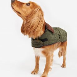 dog coat 1