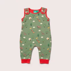 Little Green Radicals Animal Friends Dungarees
