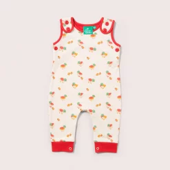Little Green Radicals Weather For Ducks Everyday Dungarees