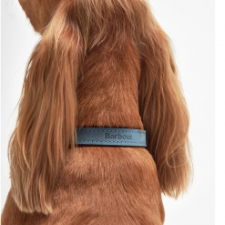 Barbour-Leather-Dog-Collar-Blue.3