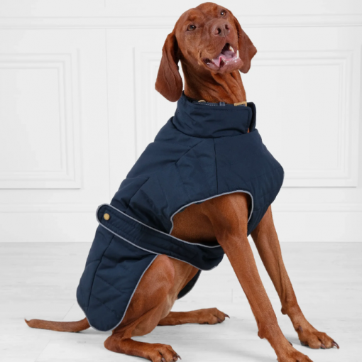 Fairfax & favor charlotte dog coat navy